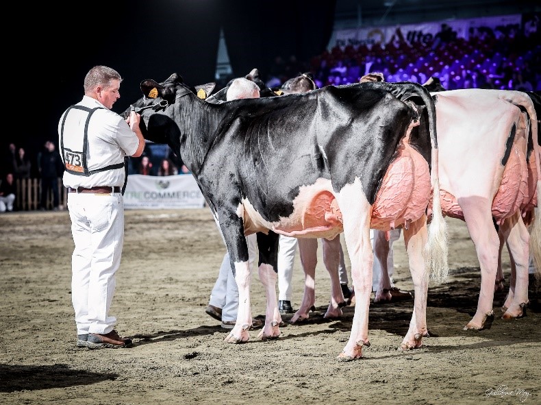 Deux filles exceptionnelles de PELLEGRINO ont brillé au salon international de CREMONE - Italie. 
