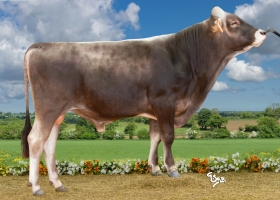DOSE TAUREAU PARADOR - NFR1220014716 - 2196943