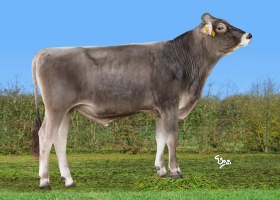 DOSE SEXE 2M 90 F VERONE - XFR1545004418 - 21A4961