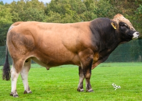 DOSE TAUREAU UPPSALA - NFR2137302347 - 71A3792