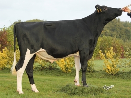 DOSE TAUREAU LOCEAN - NFR2229184216 - 6688757