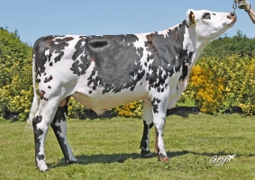 DOSE SEXEE FEM 90 4M TAUREAU OUESSANT - TFR2231502383 - 5694938