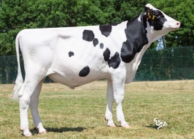 DOSE TAUREAU VANILLA P - NFR2239816073 - 66A3887