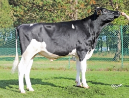 DOSE SEXEE FEM 90 TAUREAU SOLFEGE - XFR2918750348 - 6698759