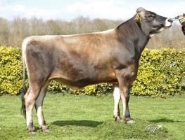 DOSE SEXEE FEM 90 TAUREAU VJ STORER - XFR2946403974 - 15A0185