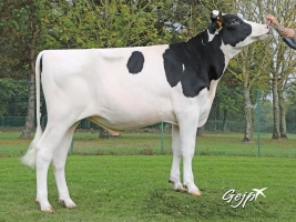 DOSE TAUREAU MOON - NFR3564460144 - 6690771