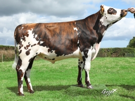 DOSE TAUREAU OURAL - NFR4422502559 - 5694122