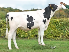 DOSE TAUREAU REVAUX PP - NFR4475373052 - 6697639
