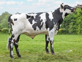 DOSE SEXEE FEM 95 2M UNICEF P - MFR5356431941 - 56A2431