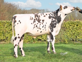 DOSE TAUREAU ULTIMATE - NFR5358364753 - 56A1881