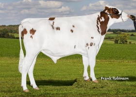 DOSE TAUREAU PO SL PP R - NUS003221033618 - 66A2151