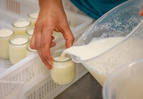 Maîtrise sanitaire des produits laitiers fermiers