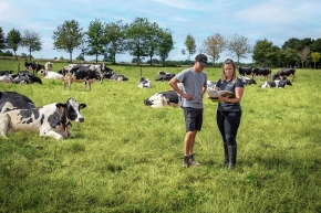 Offre sur-mesure suivi pâturage