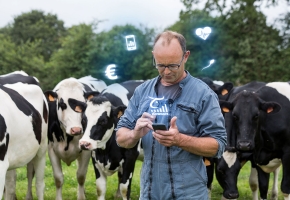 Le numérique pour piloter mon élevage laitier
