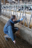 Diagnostic électrique des bâtiments et du bloc traite