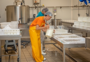 Conseil en process de fabrication et nouveaux produits laitiers fermiers