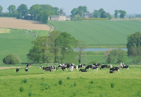 Conseil stratégique phytosanitaire et systèmes cultures