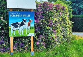 Mon panneau d'élevage