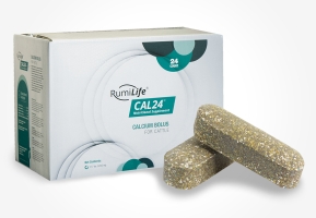 RumiLife® CAL24