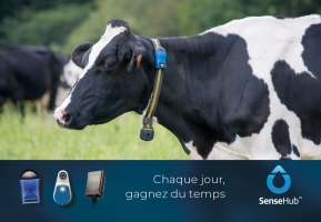SenseHub