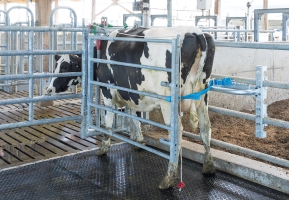 Les solutions contention : contention individuelle Säkerblock de Vital Concept