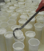 Conseil en process de fabrication et
nouveaux produits laitiers fermiers