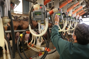 Le contrôle de performance lait caprin