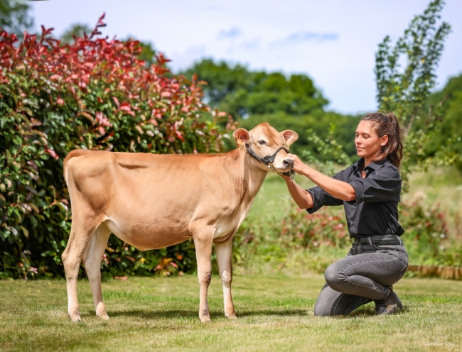 DOSE TAUREAU VJ SWAN - NDK000000305325 - 15A2807