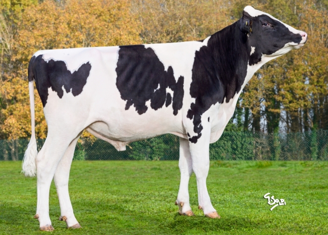 DOSE TAUREAU VIVERO PP - NFR3511873337 - 66A4453