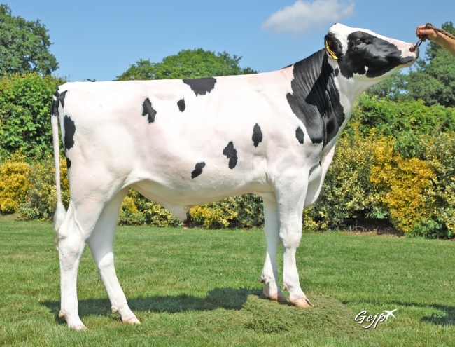 DOSE TAUREAU RAMAVINGA - NFR4472336533 - 6696808