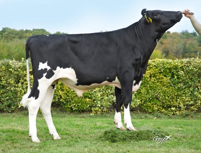 DOSE TAUREAU RAUL P - NFR4472336588 - 6697191
