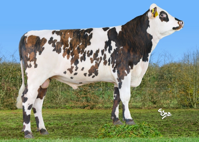 DOSE SEXEE FEM 95 2M VILLAGE P - MFR5022361949 - 56A4378