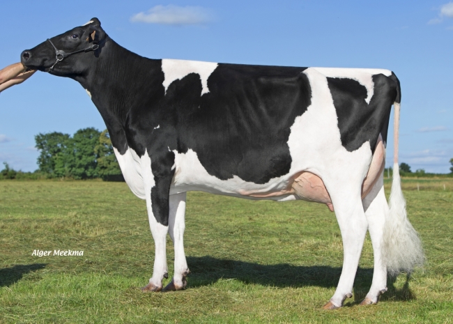 DOSE TAUREAU LANDVIEW - NFR5631923100 - 6688888