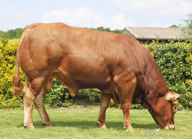DOSE SEXE 2M 90 M SCENARIO - YFR7265359139 - 34A0577