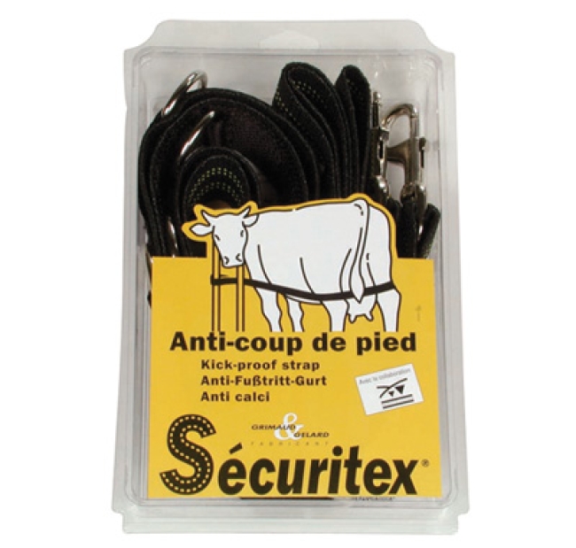 Sangle anti coups de pattes