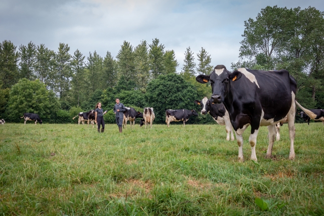 Offre sur-mesure bio/système herbager