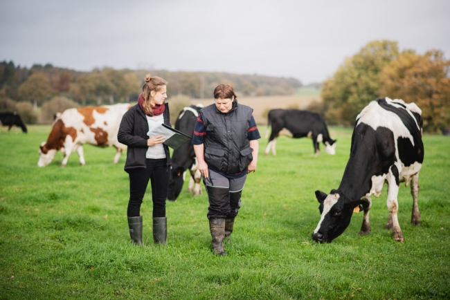 Solutions de conseil global en conduite d'élevage