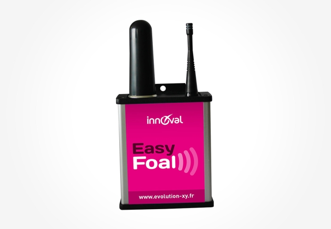 Kit Easyfoal outdoor