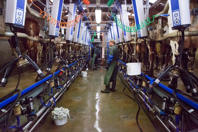 Contrôle de performance et indicateurs de lait