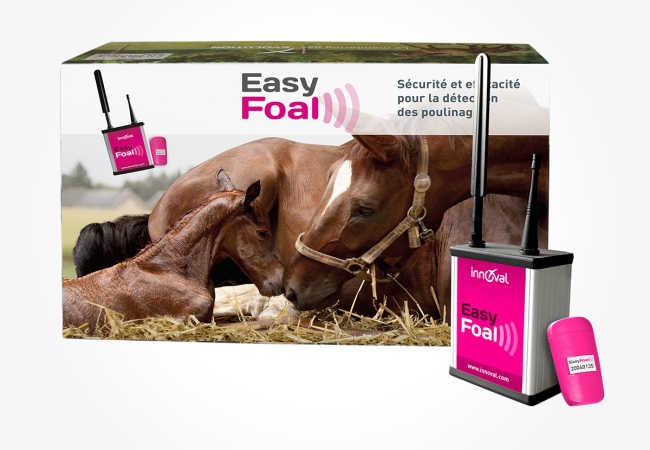 Kit Easyfoal indoor