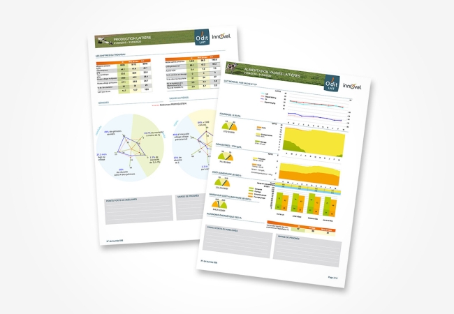 O'dit lait : le bilan technique de mon élevage