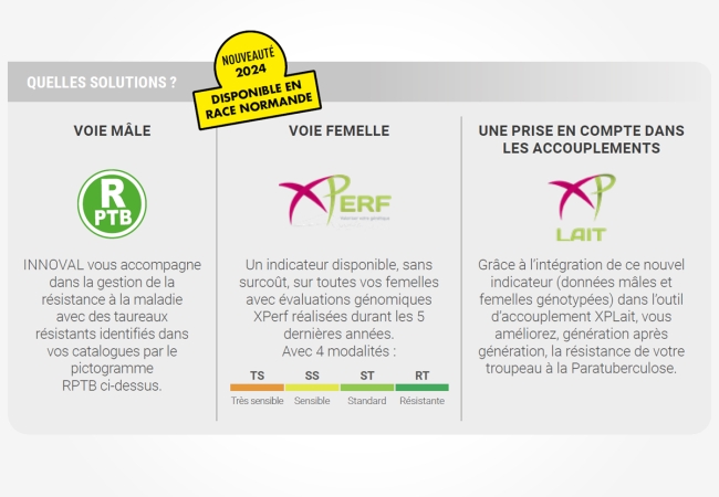 Les innovations génétiques : un indicateur de la résistance à la paratuberculose