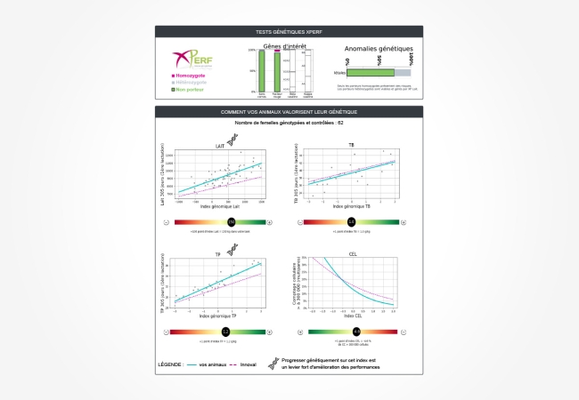 Mon bilan génétique