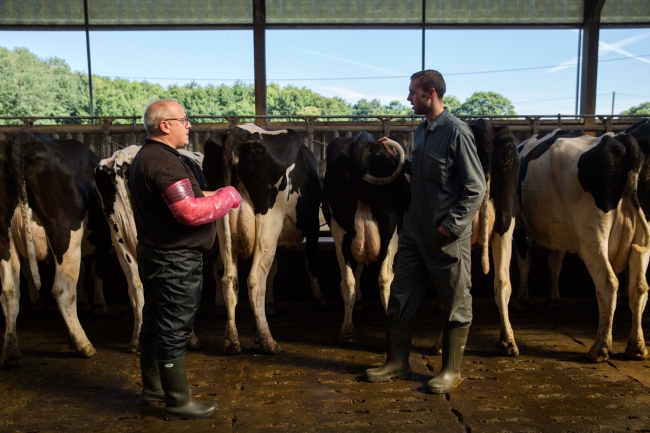 Formations insémination par l'éleveur