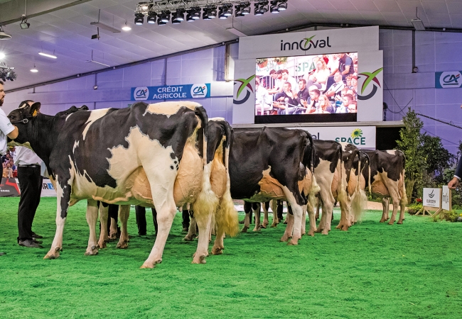 Caisse complémentaire