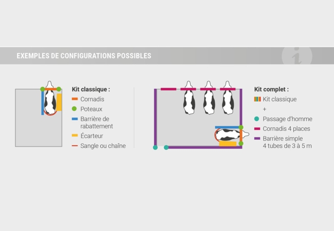 Kit contention insémination