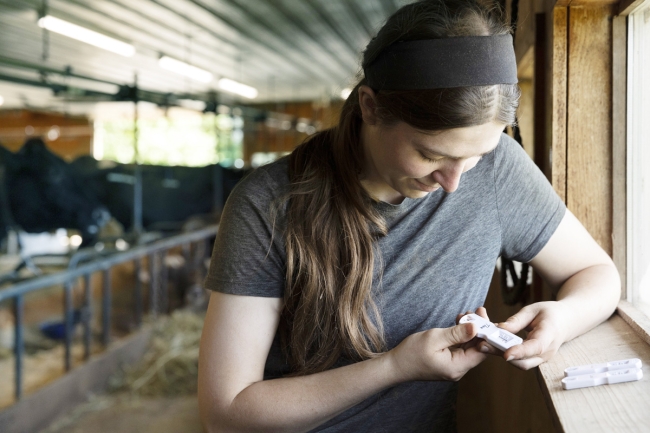 Constat de gestation : alertys onfarm