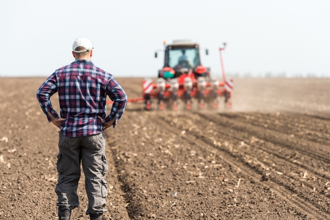 Les composantes de la fertilité des sols : découverte (MAEC 23-27)