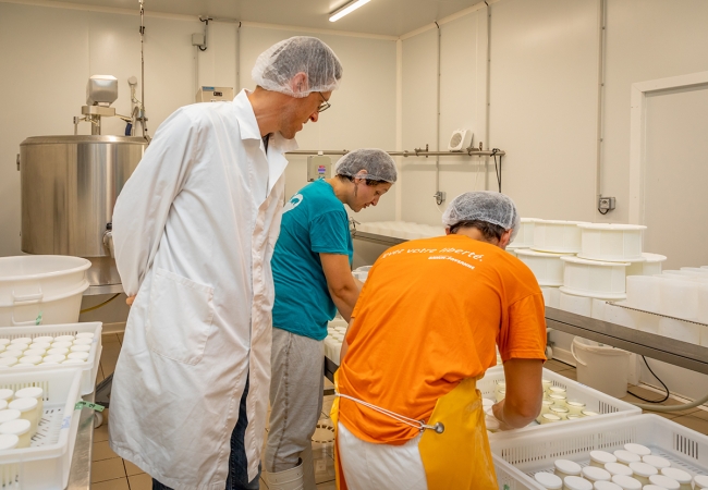 Maîtrise sanitaire des produits laitiers fermiers