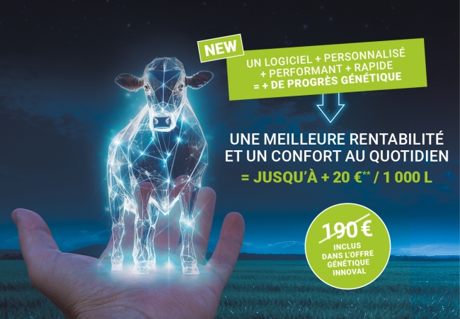 MSR : La visite de renouvellement par INNOVAL